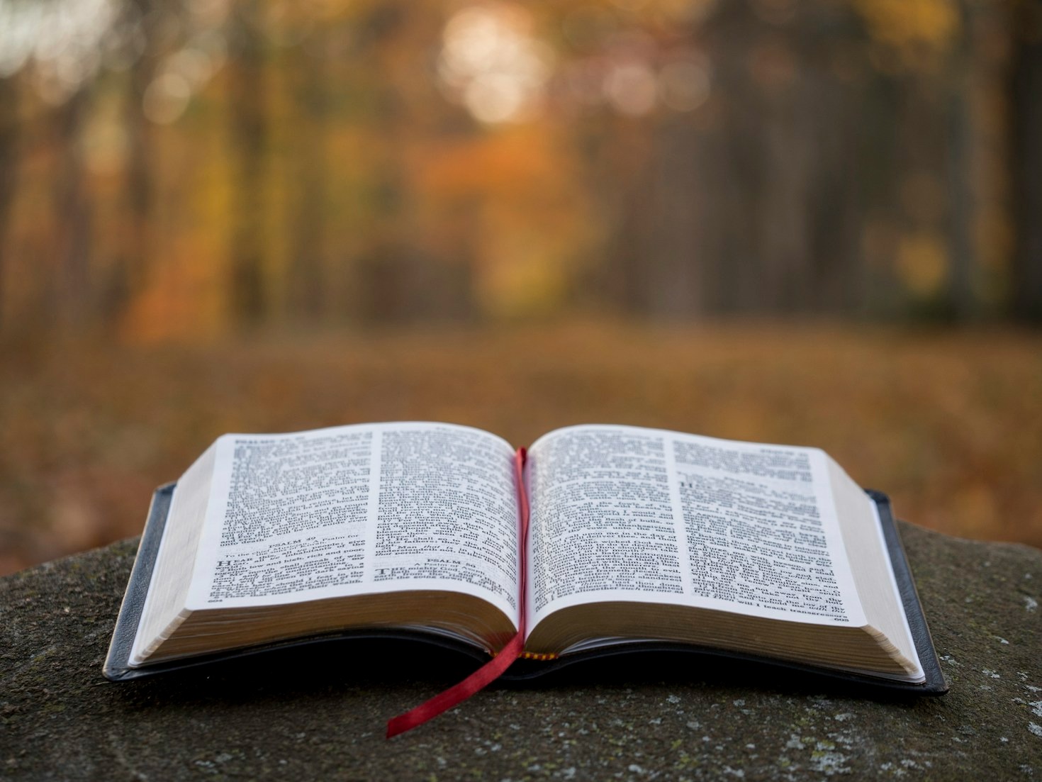 Growing Closer Through Daily Prayer Habits