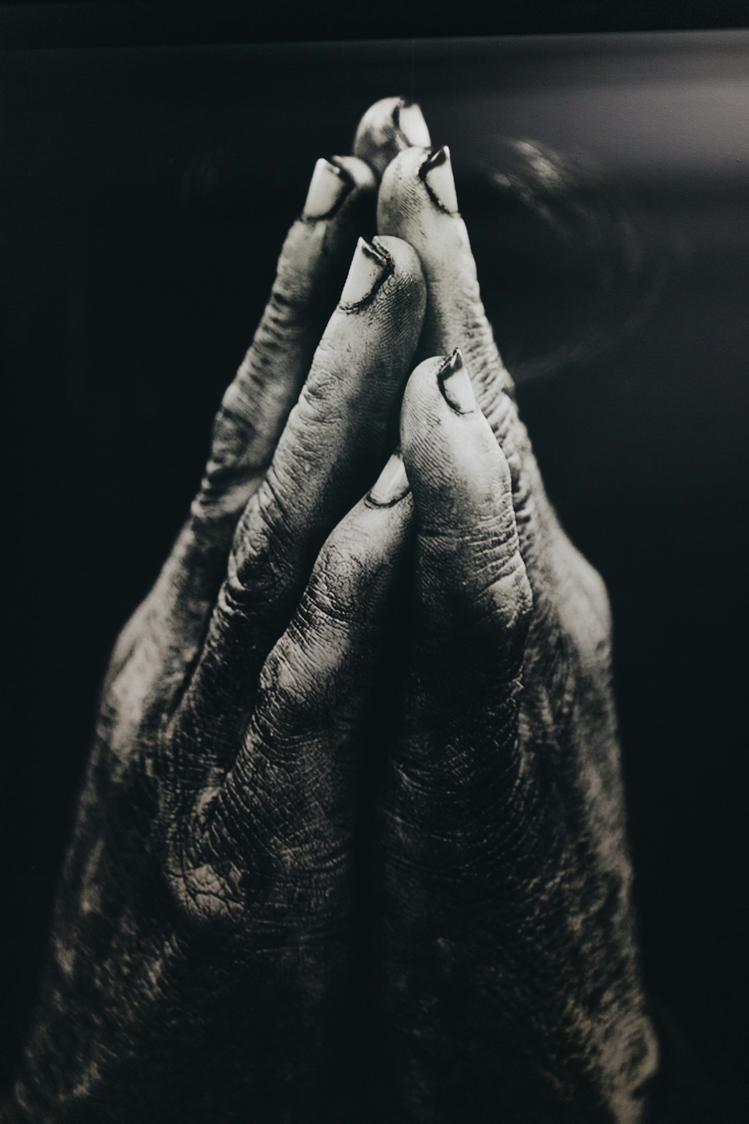 Preparing Hearts for a Future Hope